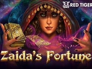 Zaida's Fortune thumbnail